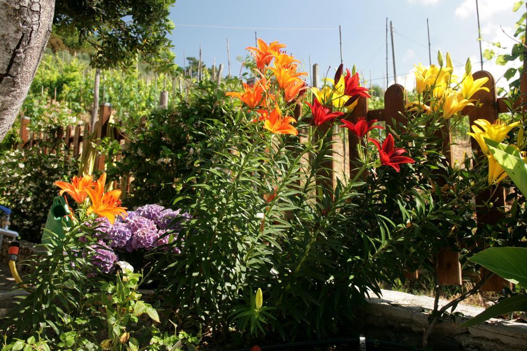 Bed and Breakfast Cà de Pria Casarza Ligure Esterno foto